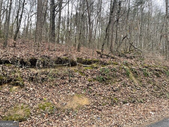 0 Wooten Lane Property Photo 6