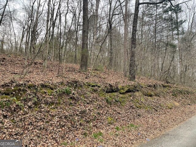 0 Wooten Lane Property Photo 7