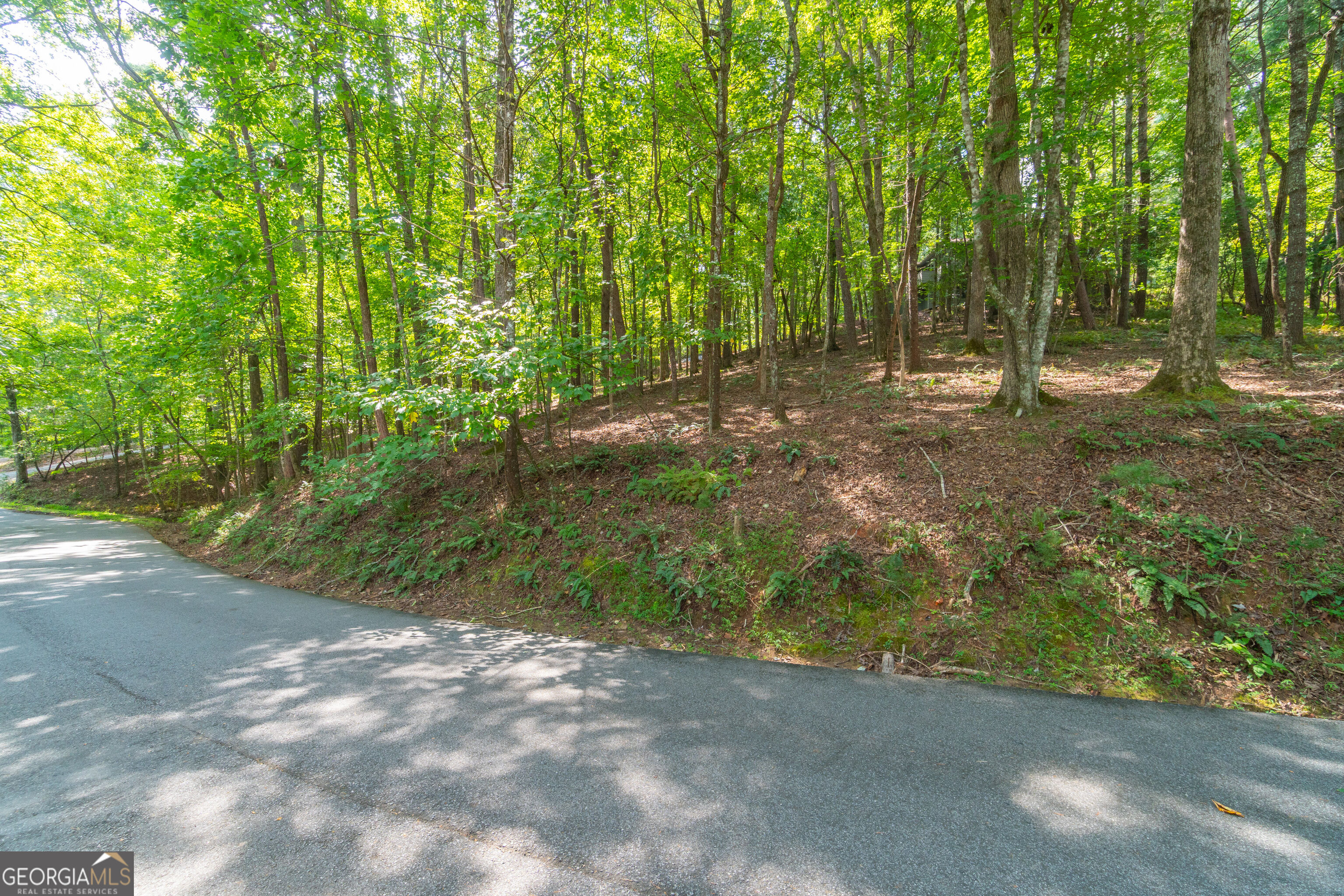 70 Doe Run Property Photo 55