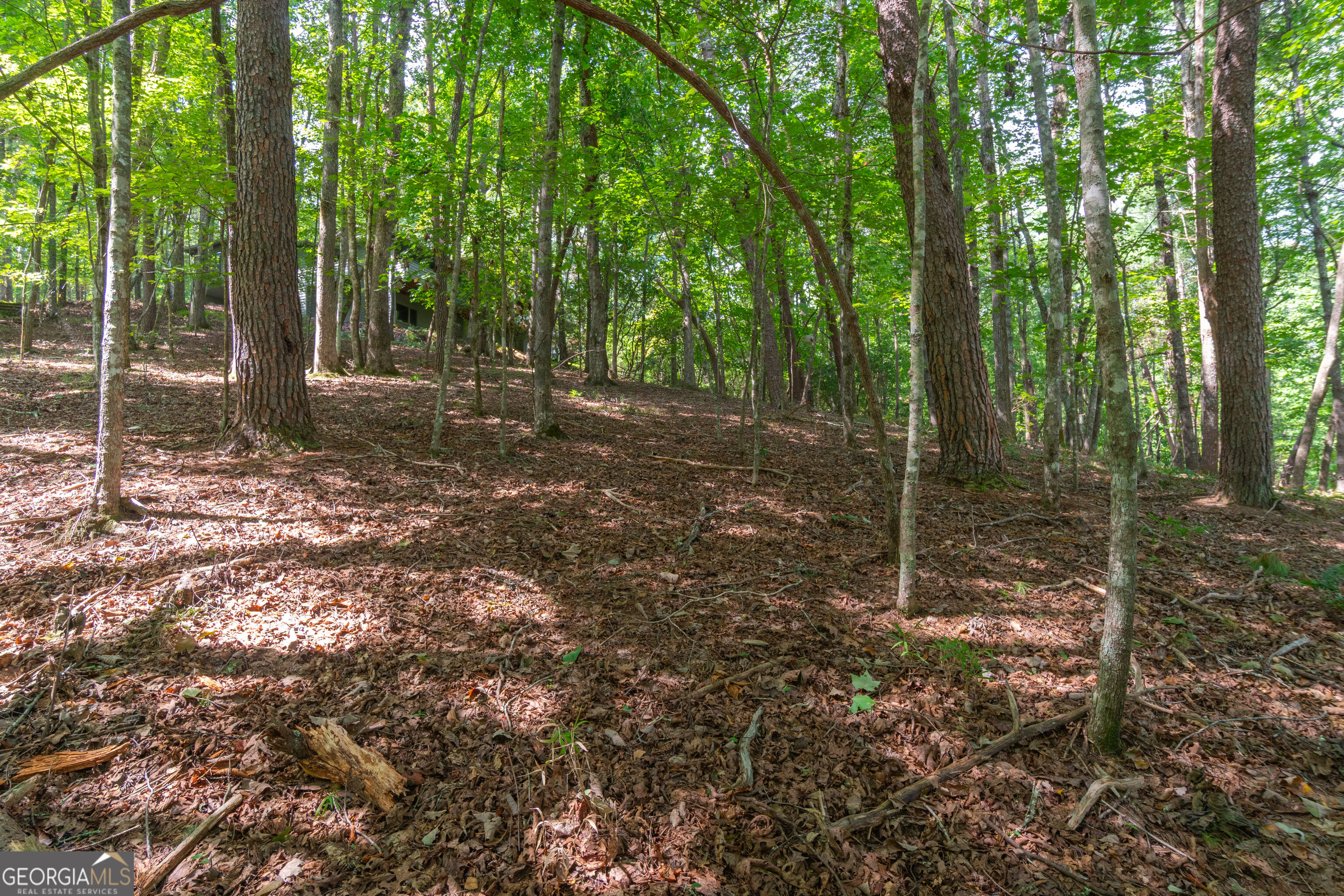 70 Doe Run Property Photo 57