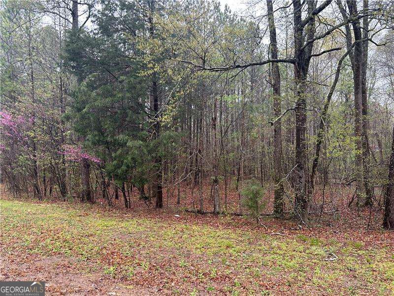 0 Walker Mountain Road Sw Property Photo 1