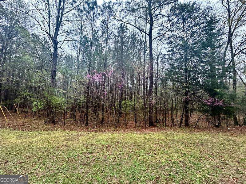 0 Walker Mountain Road Sw Property Photo 2