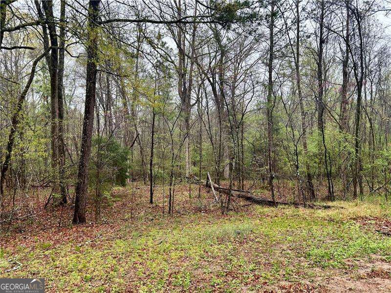 0 Walker Mountain Road Sw Property Photo 3