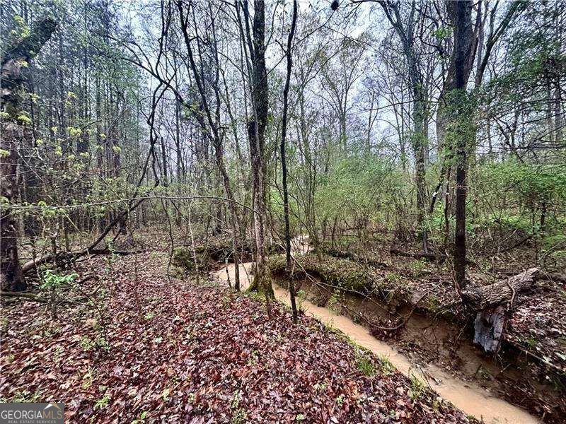 0 Walker Mountain Road Sw Property Photo 4