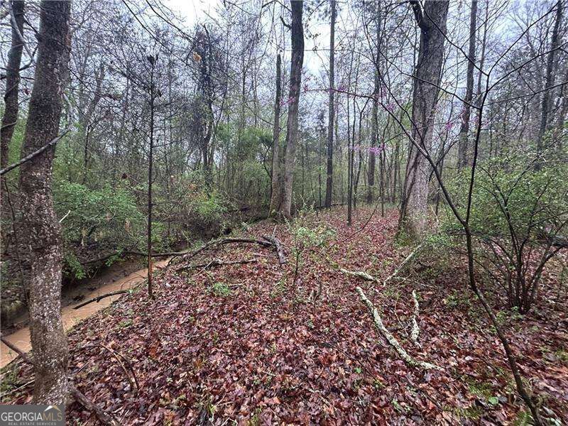 0 Walker Mountain Road Sw Property Photo 5