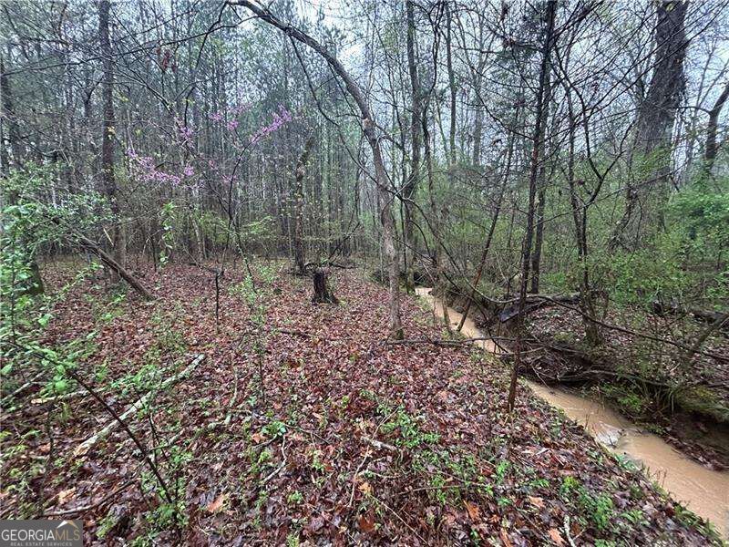 0 Walker Mountain Road Sw Property Photo 6