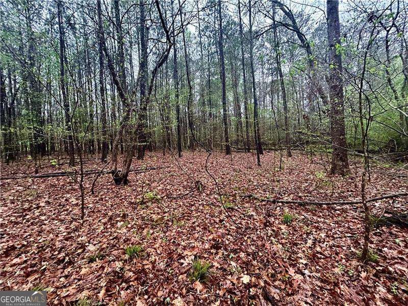 0 Walker Mountain Road Sw Property Photo 8