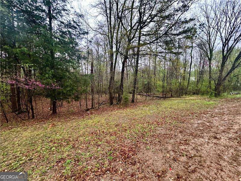 0 Walker Mountain Road Sw Property Photo 10