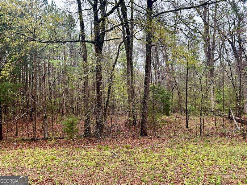 0 Walker Mountain Road Sw Property Photo 11