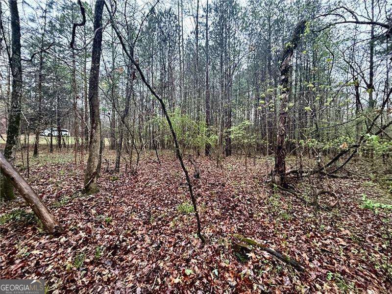 0 Walker Mountain Road Sw Property Photo 12