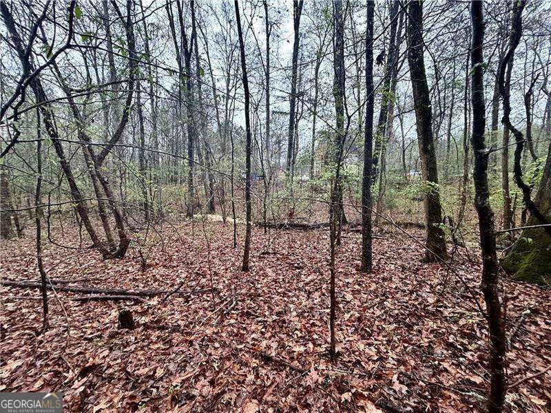 0 Walker Mountain Road Sw Property Photo 13