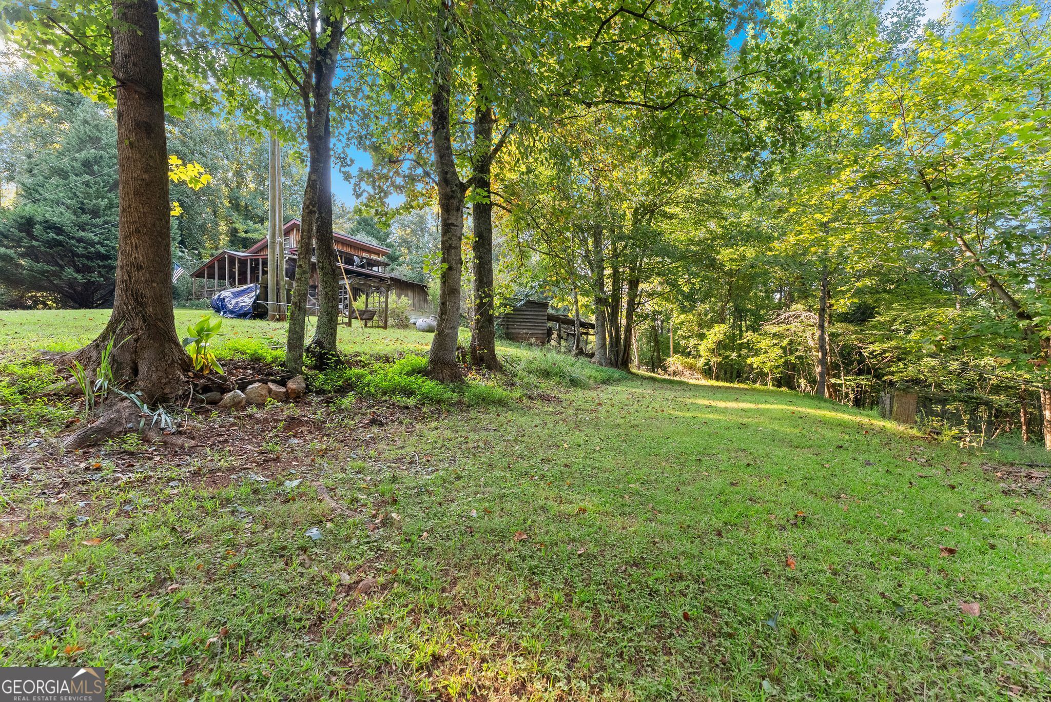 5351 Highway 19 N Property Photo 23