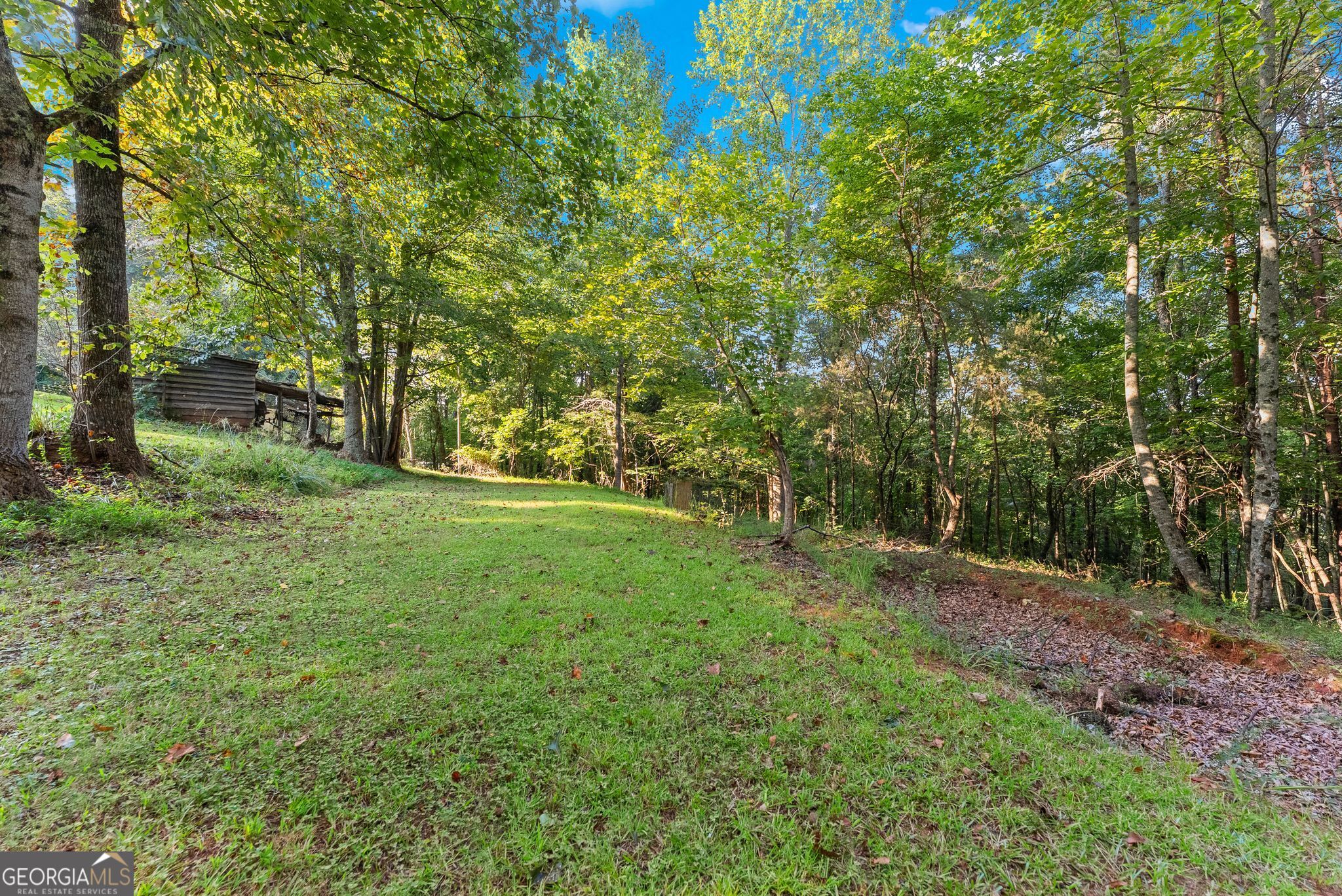 5351 Highway 19 N Property Photo 25