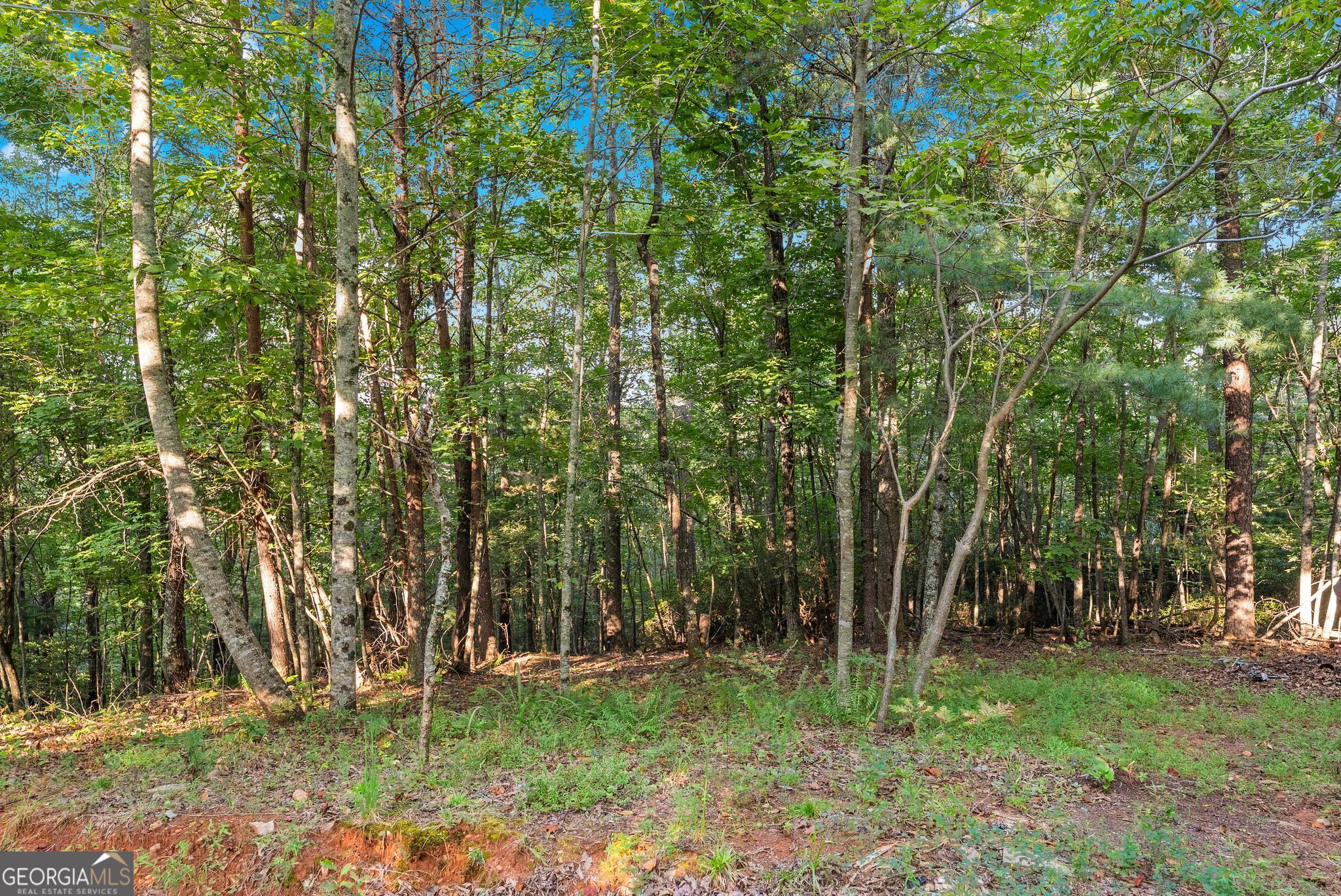 5351 Highway 19 N Property Photo 26