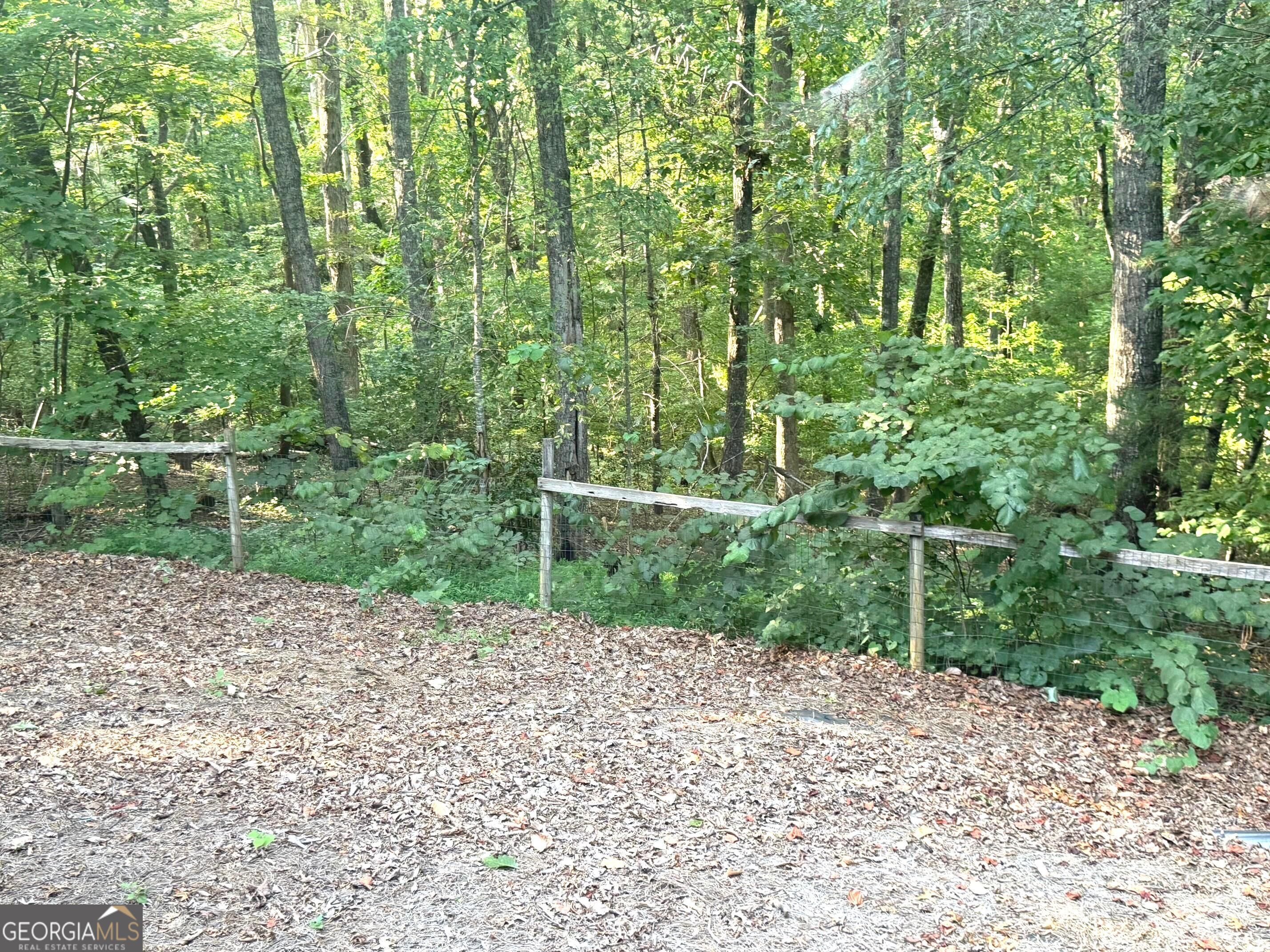 550 Washboard Road Property Photo 27