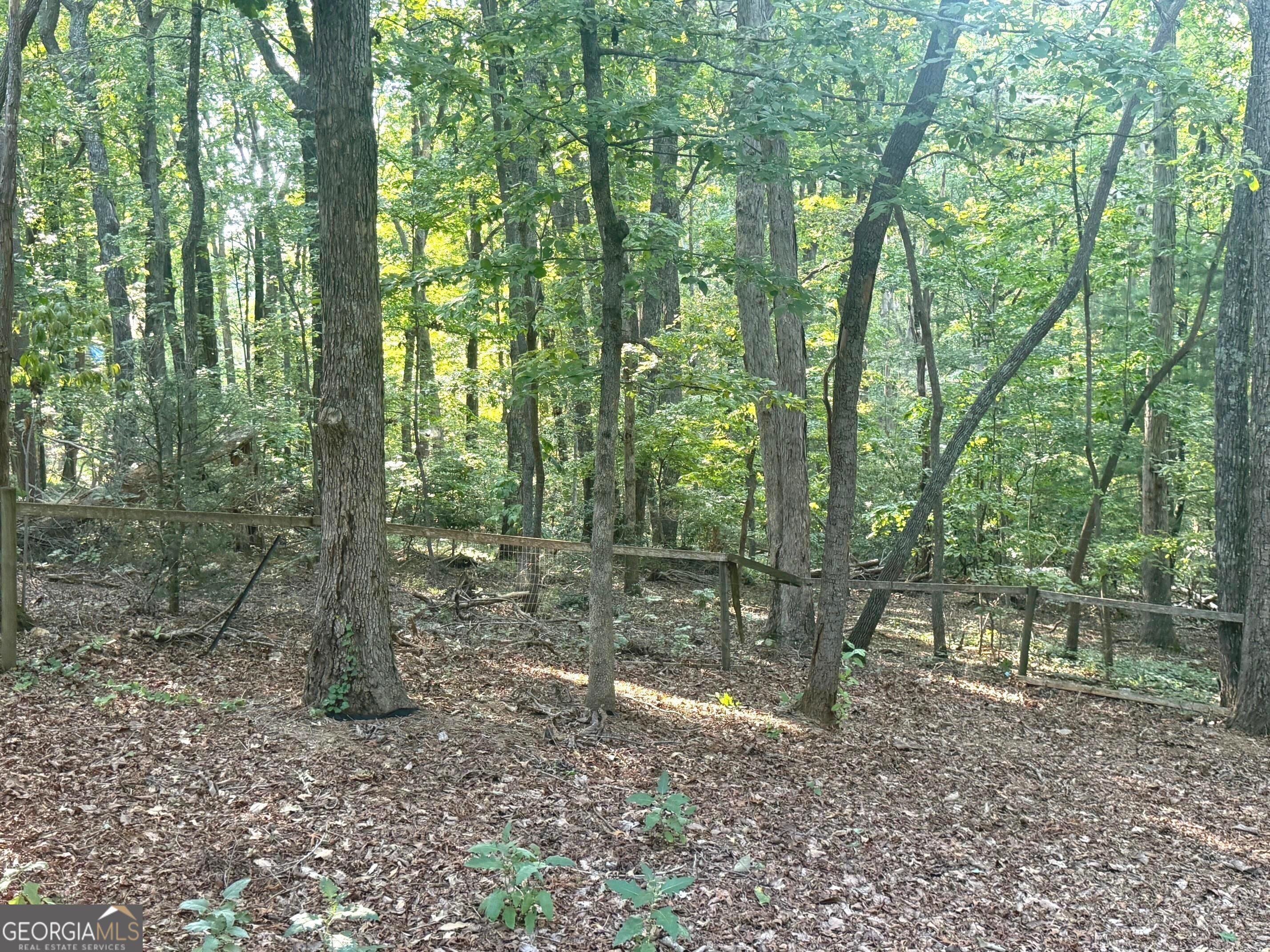 550 Washboard Road Property Photo 28