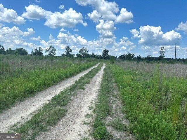 0 Ga Hwy 298 Parcel 2 Property Photo 1