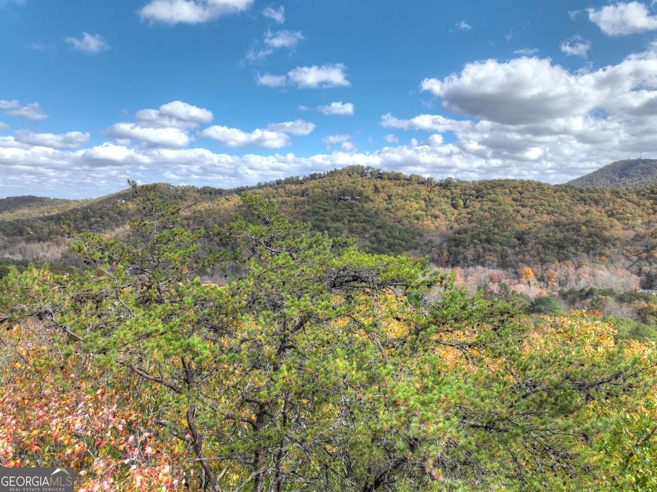 23 Acres Weaver Creek Road Property Photo 1