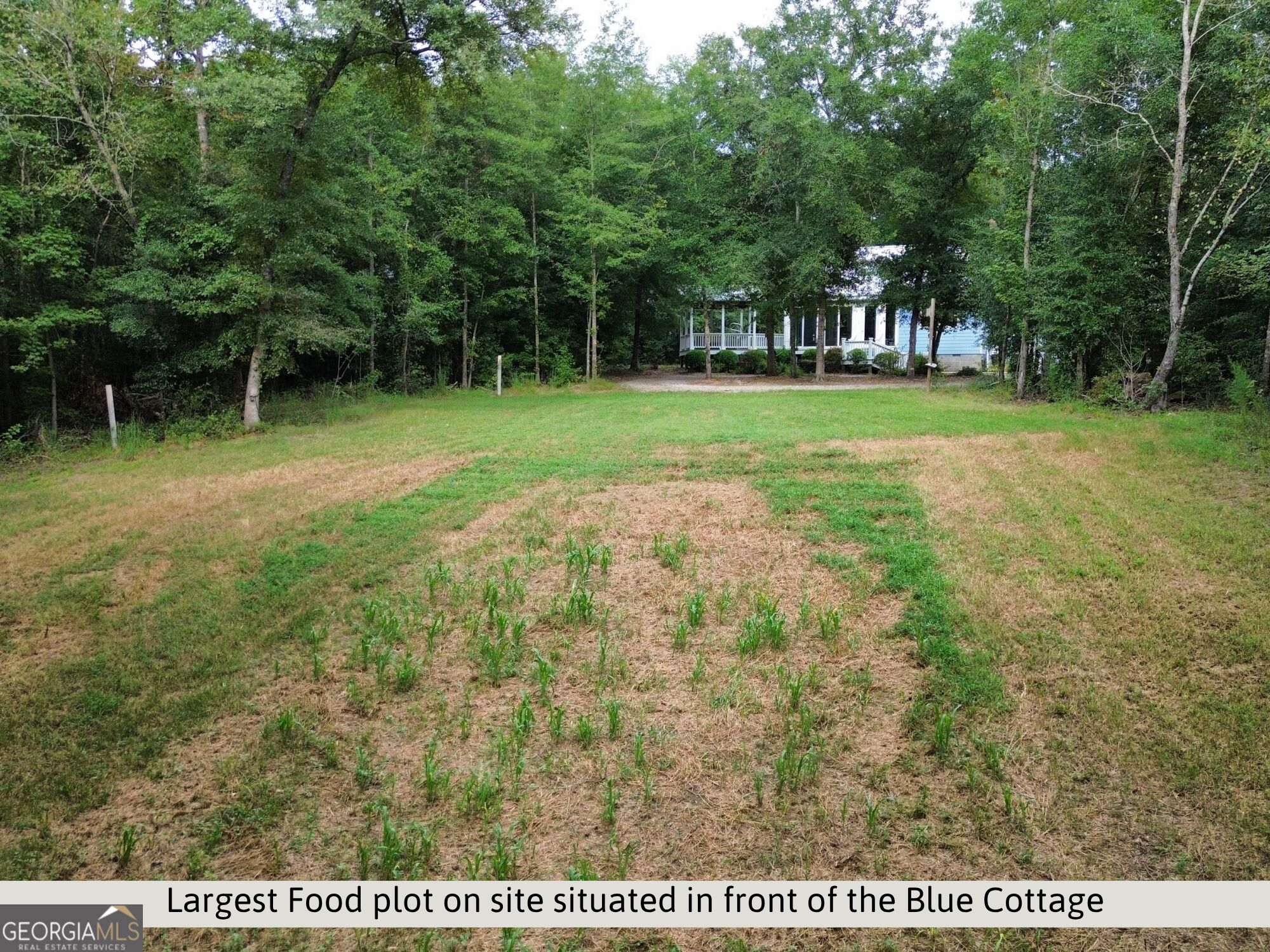 582 Asbury Church Road Property Photo 62