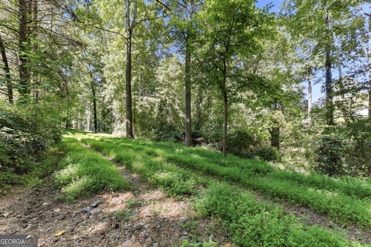 3628 Maple Forge Lane Property Photo 52