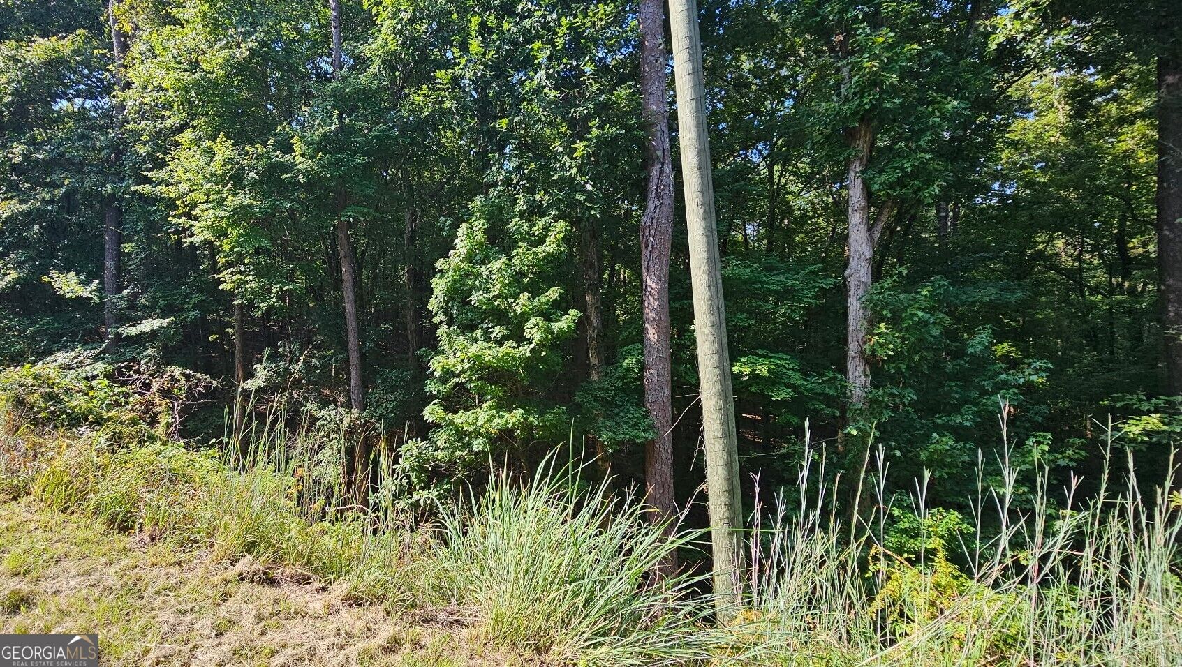 1050 Smith Road Property Photo 1