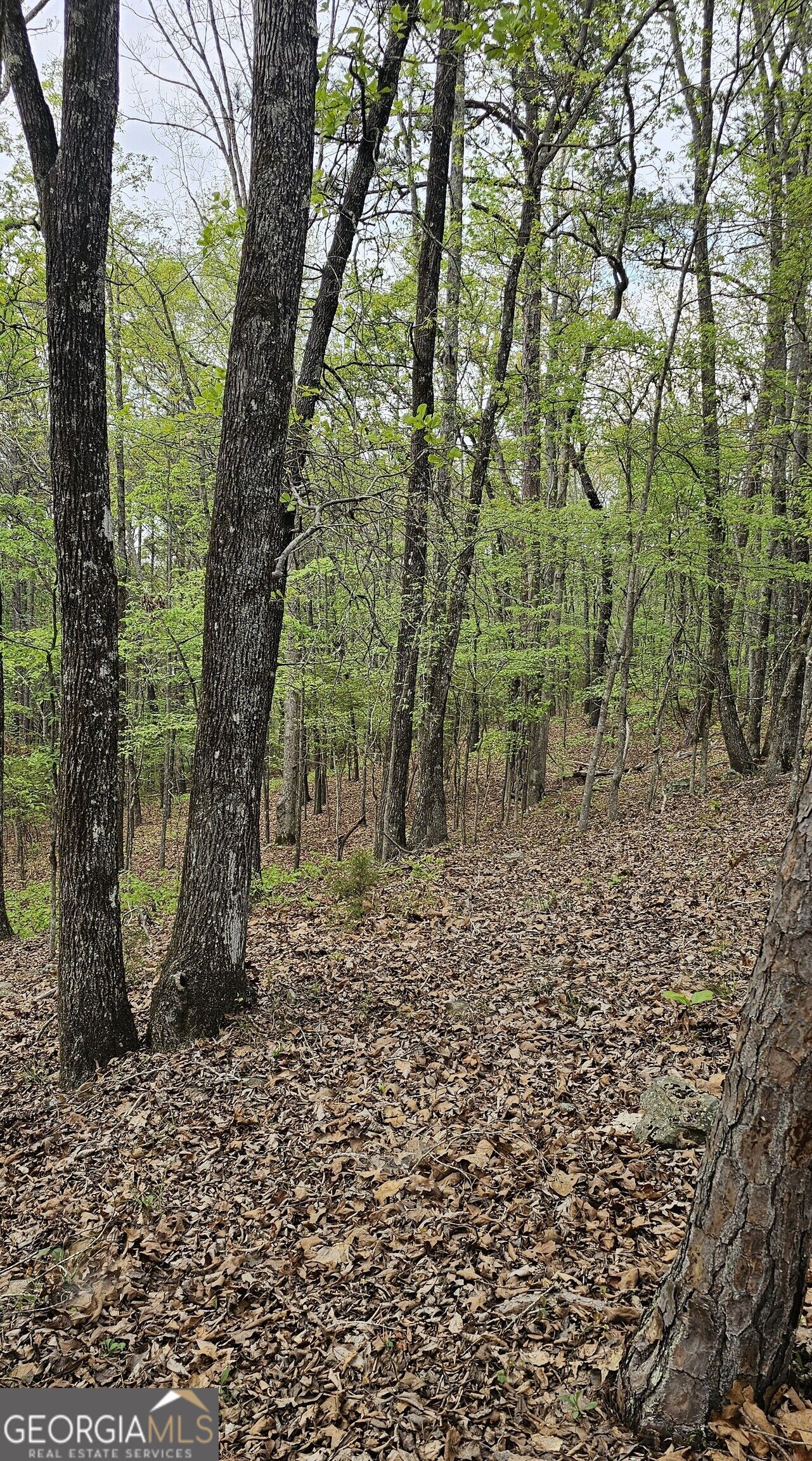 1050 Smith Road Property Photo 7