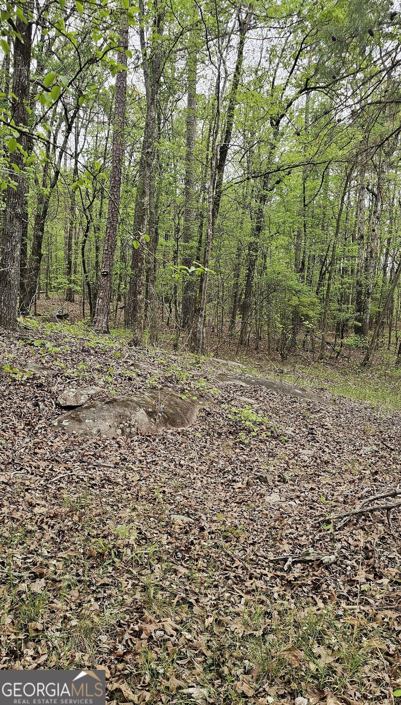 1050 Smith Road Property Photo 8