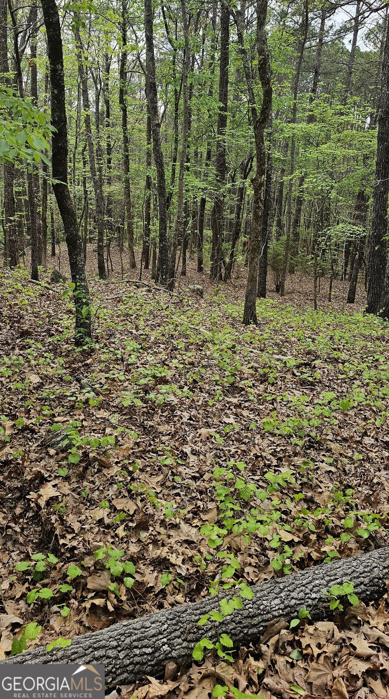 1050 Smith Road Property Photo 9