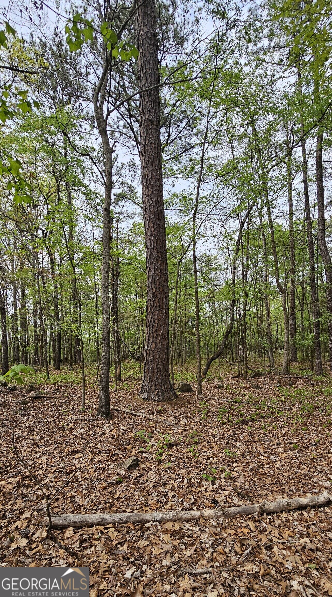 1050 Smith Road Property Photo 10