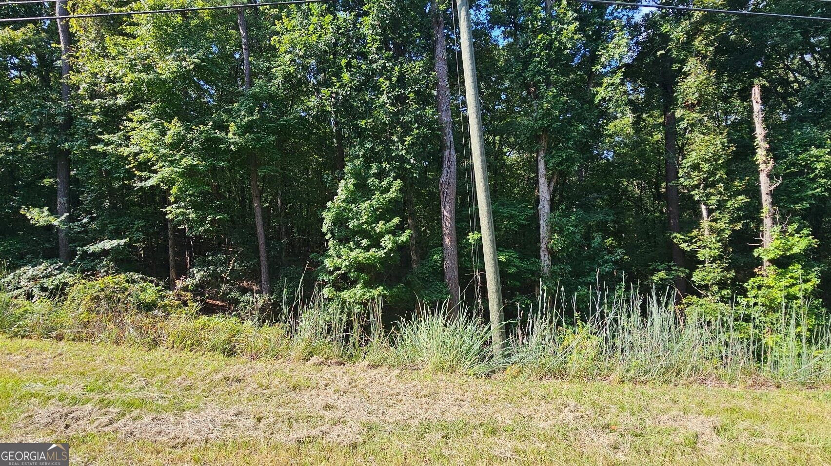1050 Smith Road Property Photo 11