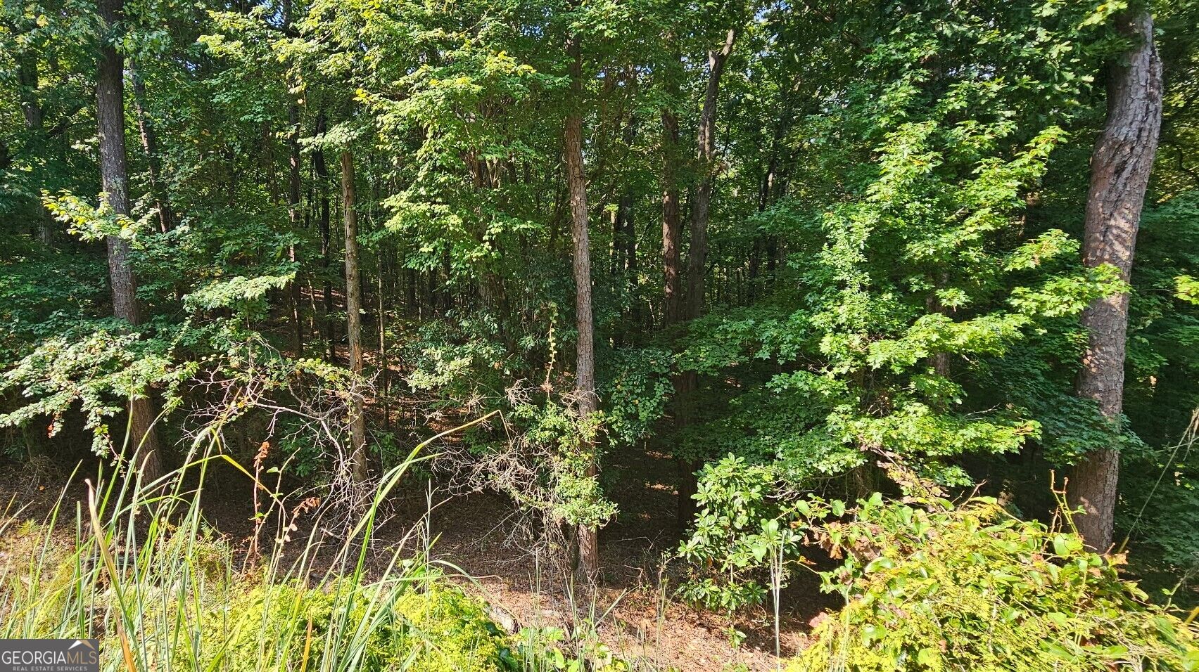 1050 Smith Road Property Photo 12