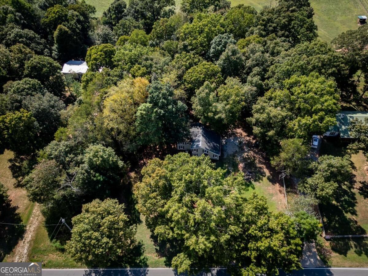 1642 Neese Commerce Road Property Photo 41