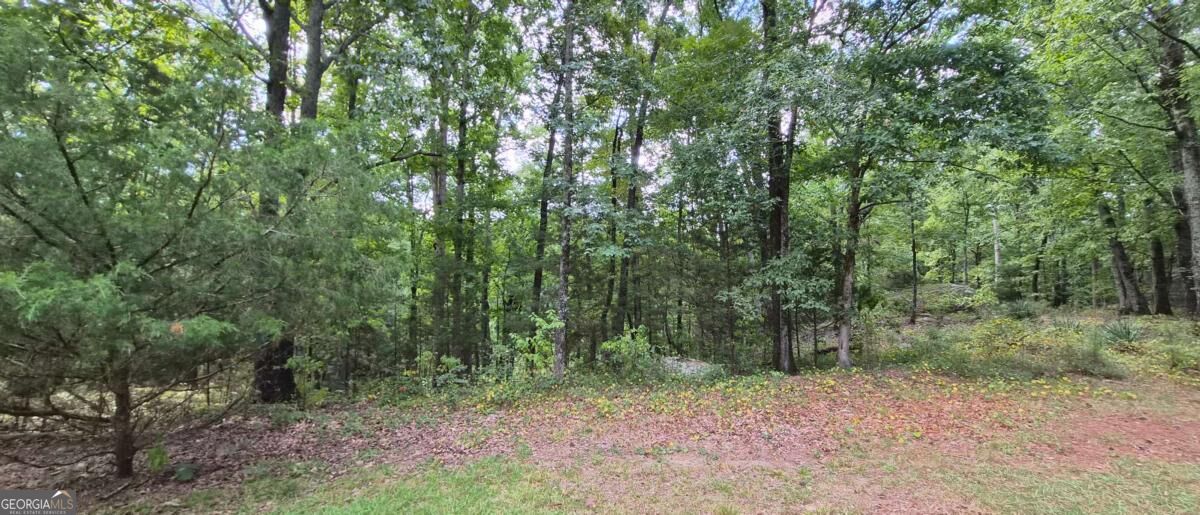 1753 Stephenson Road Property Photo 60