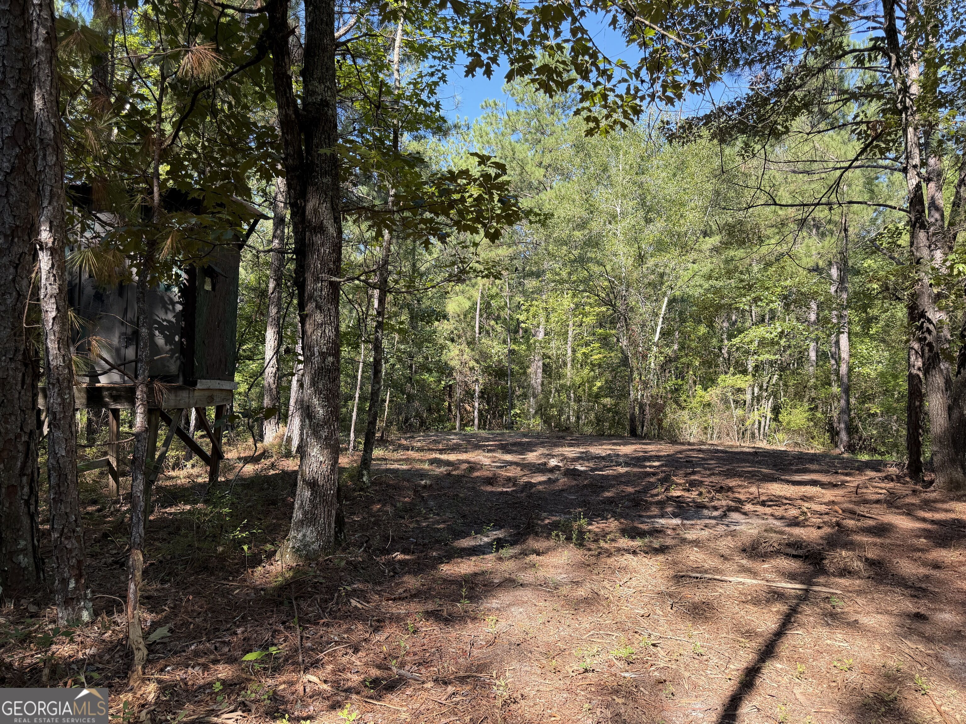 0 Pig Road Property Photo 1