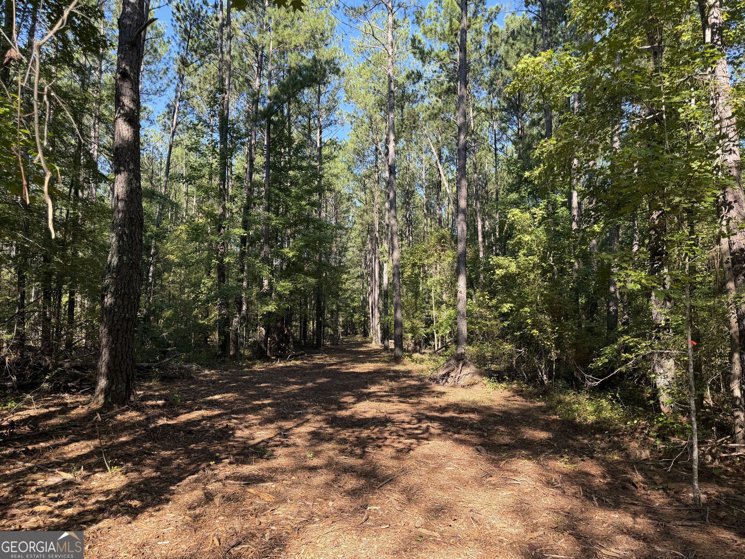 0 Pig Road Property Photo 4