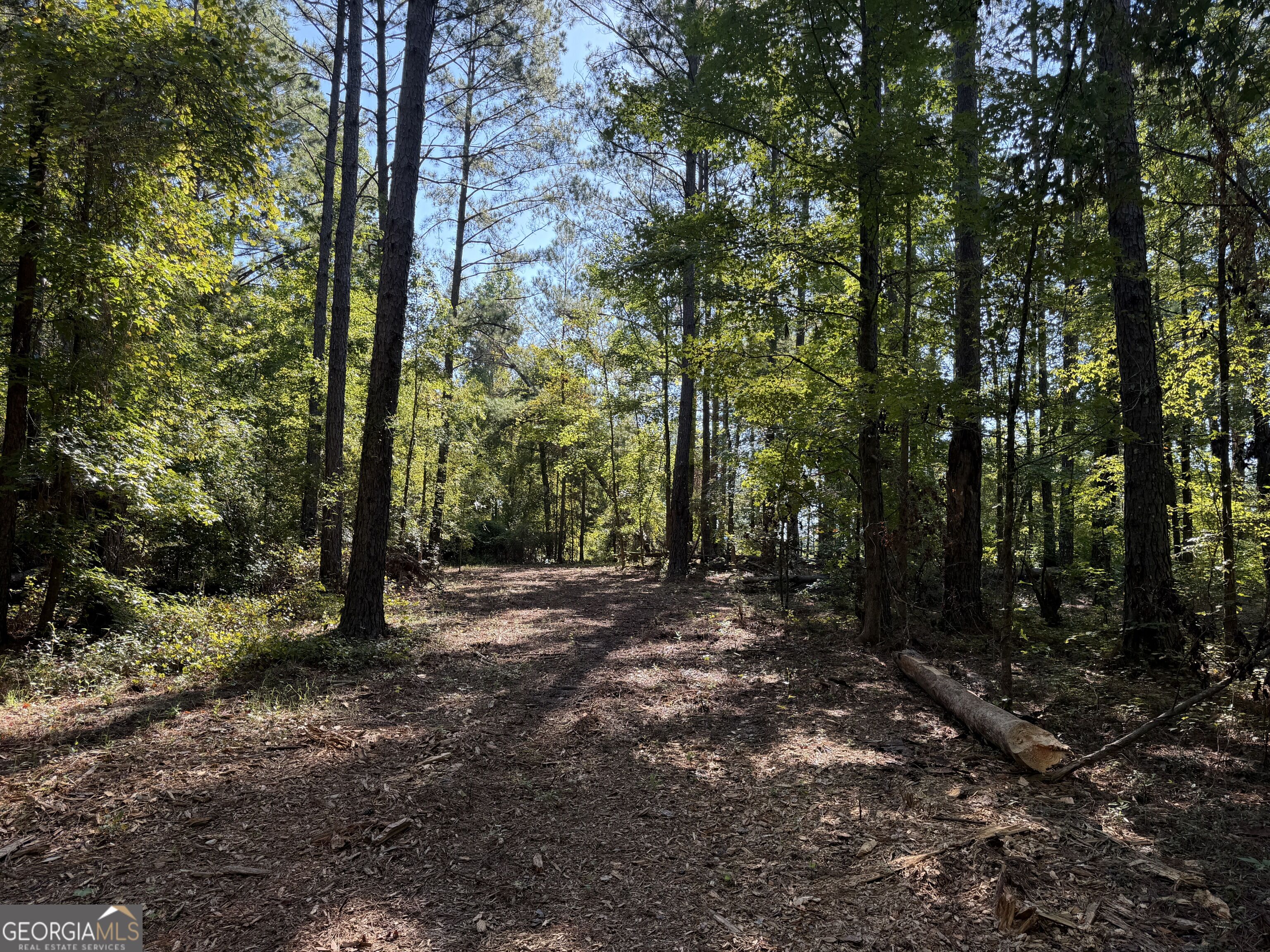 0 Pig Road Property Photo 5