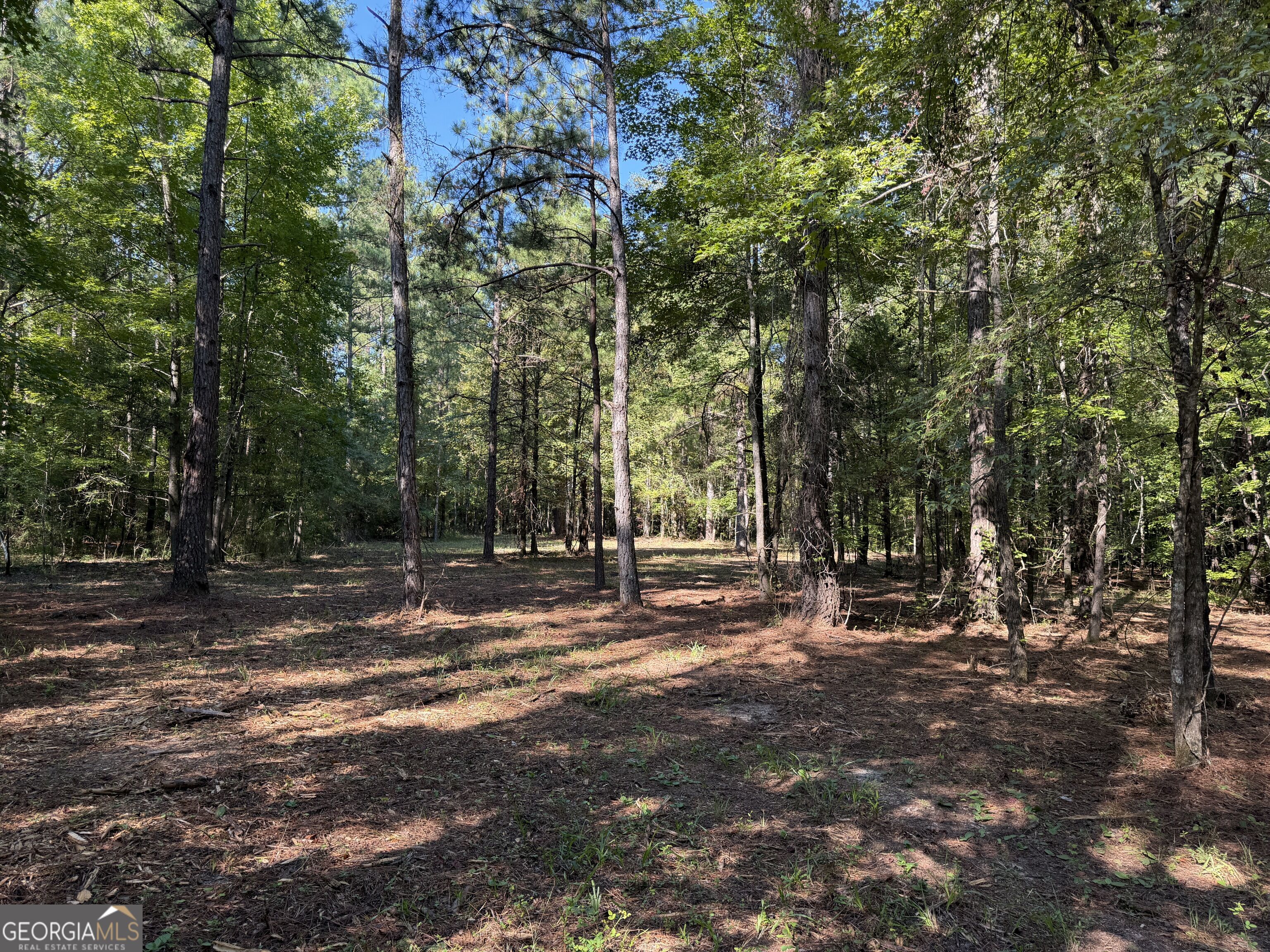 0 Pig Road Property Photo 7