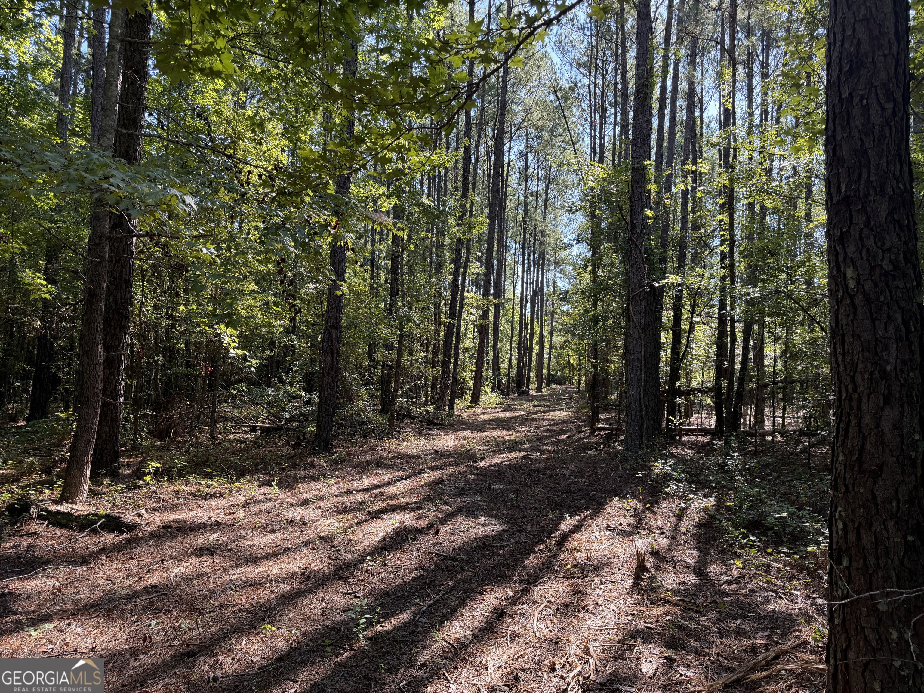 0 Pig Road Property Photo 8
