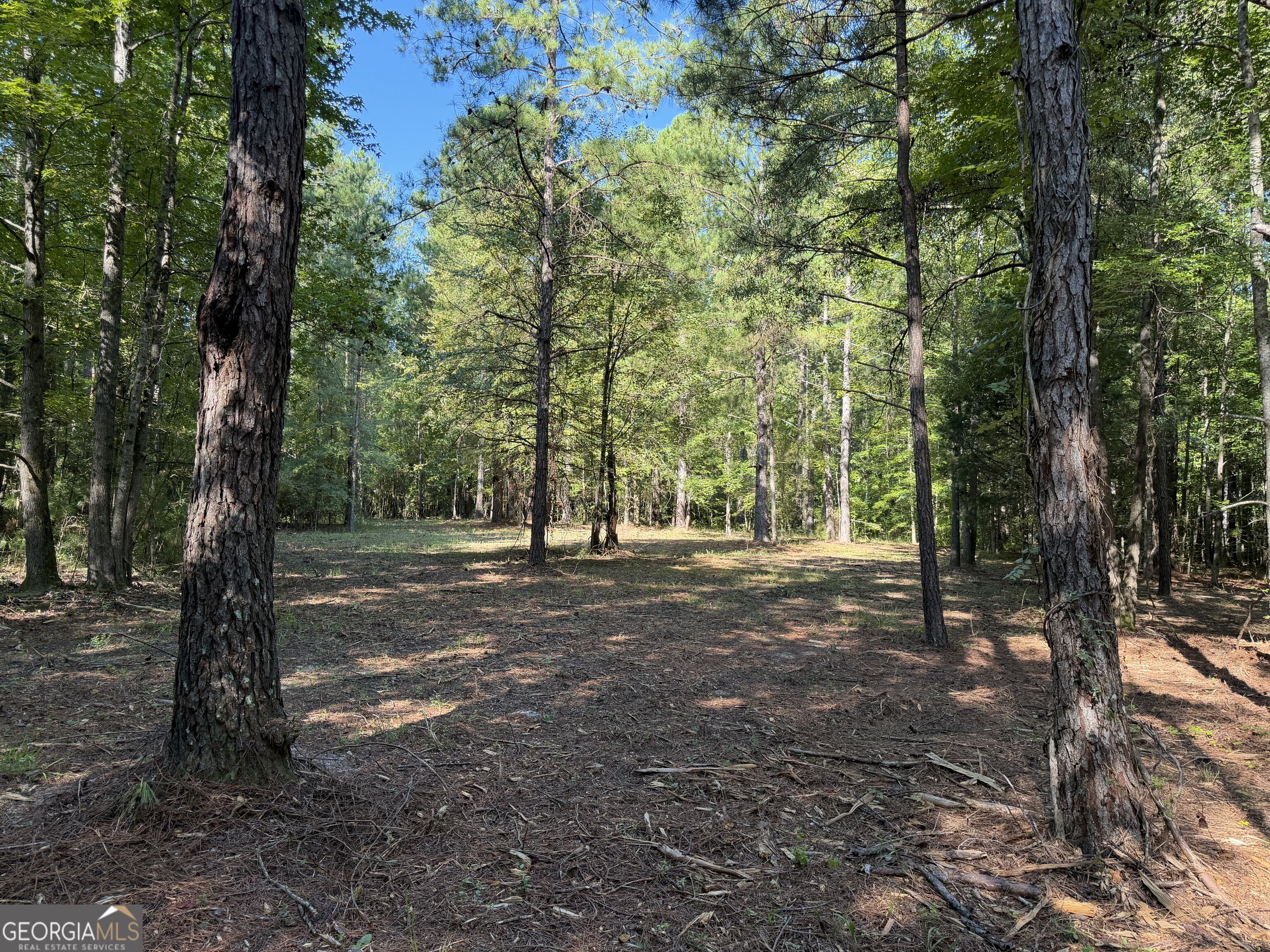0 Pig Road Property Photo 9