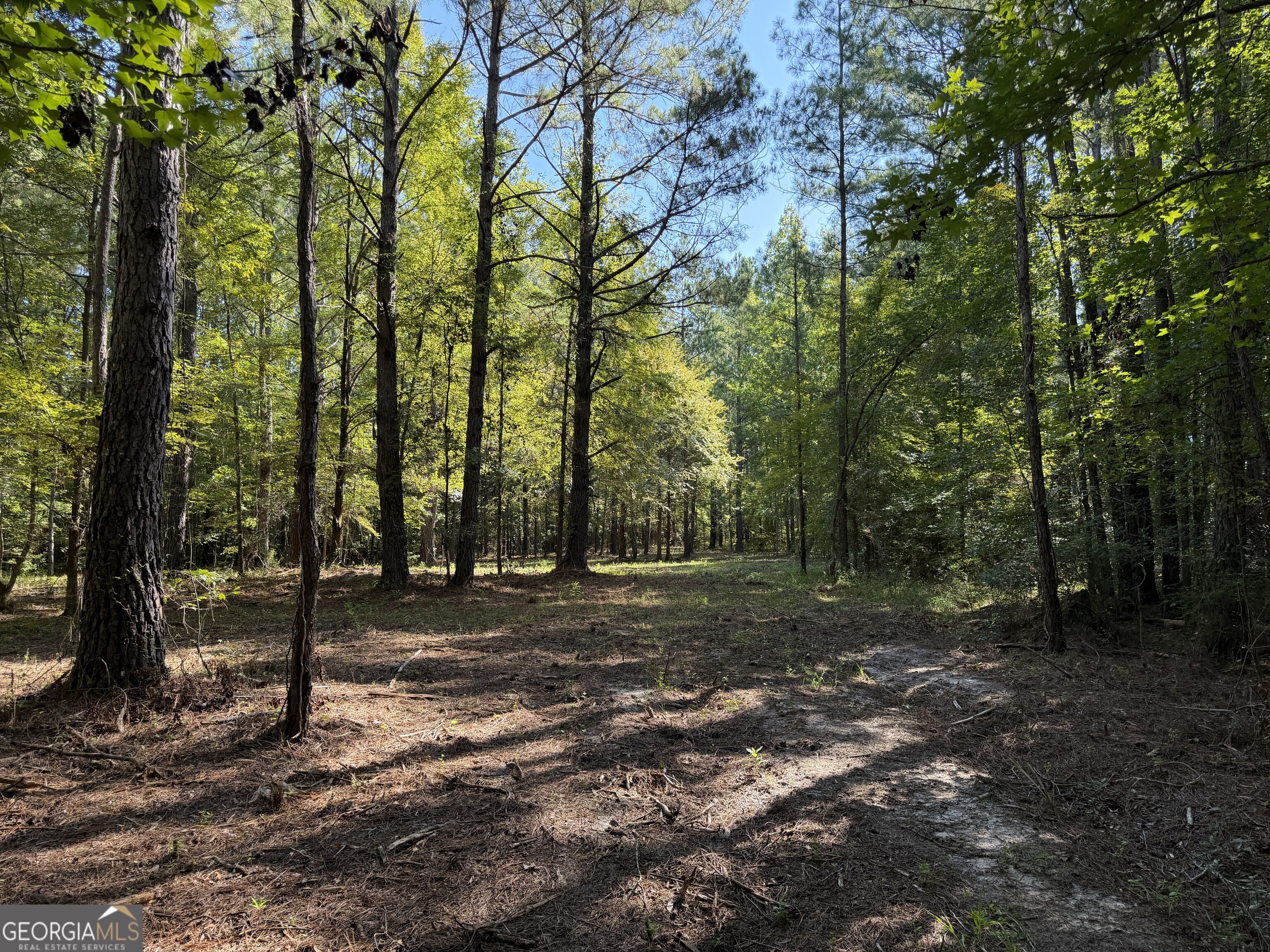 0 Pig Road Property Photo 10