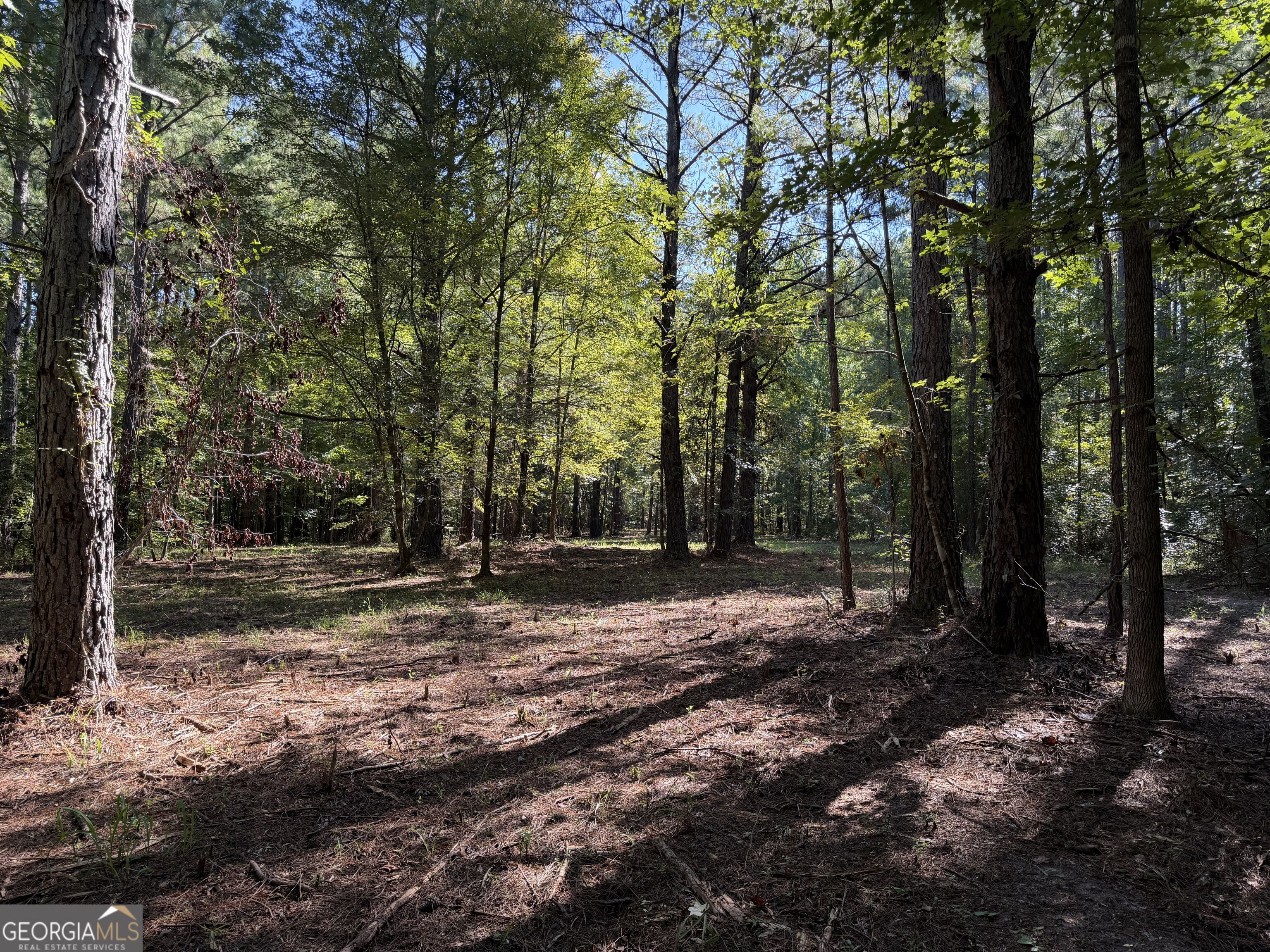 0 Pig Road Property Photo 11