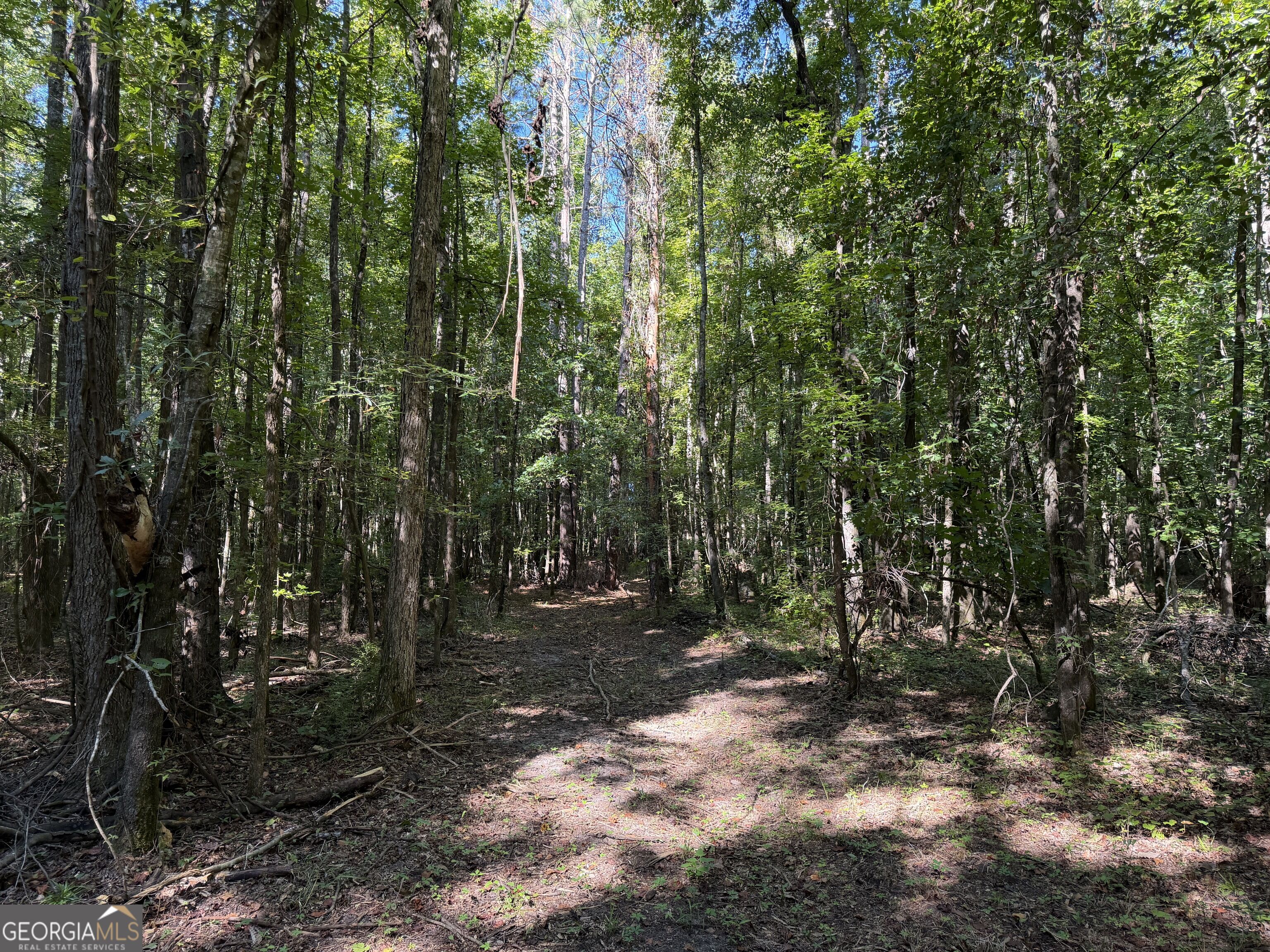 0 Pig Road Property Photo 13