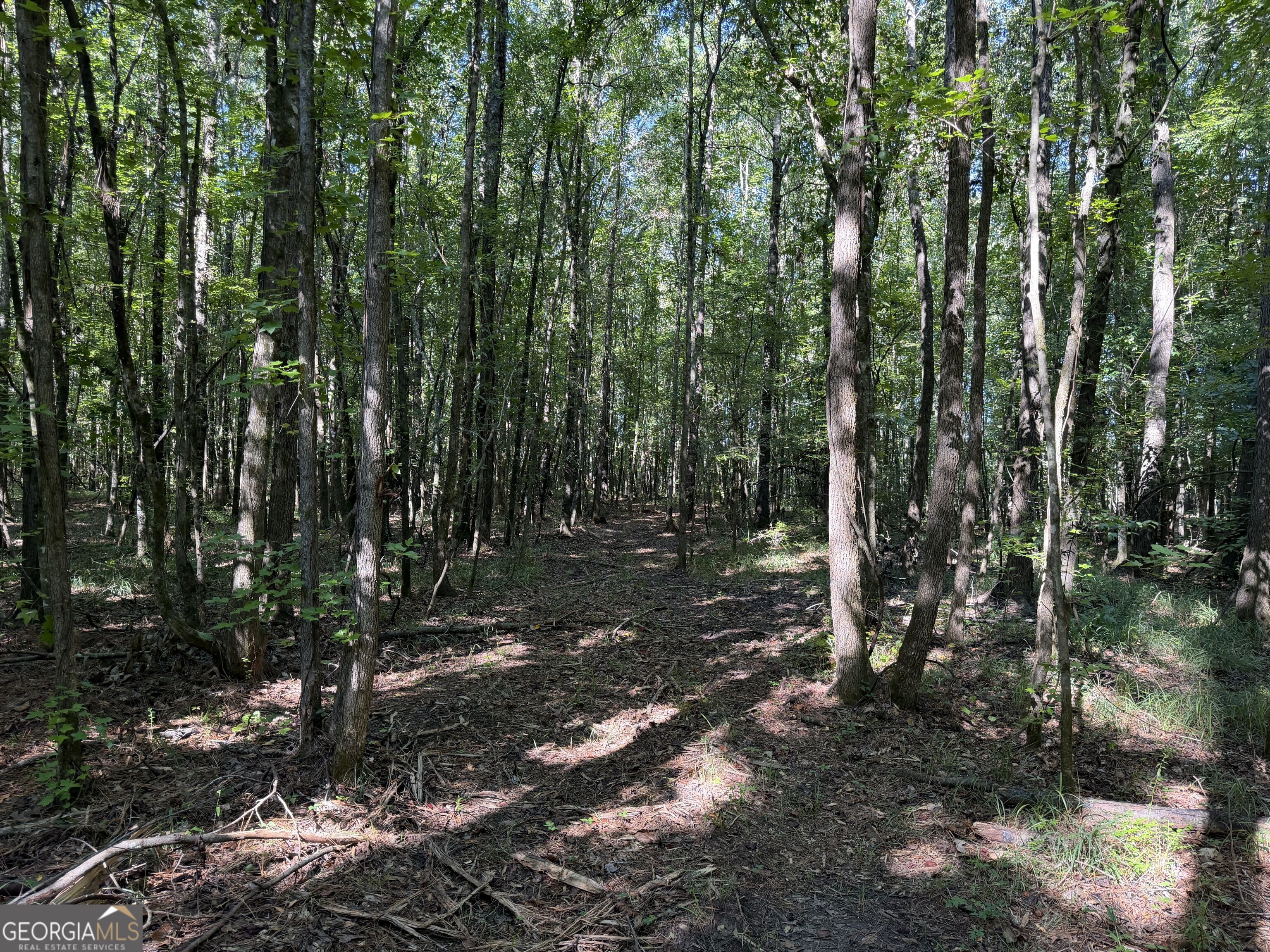 0 Pig Road Property Photo 14