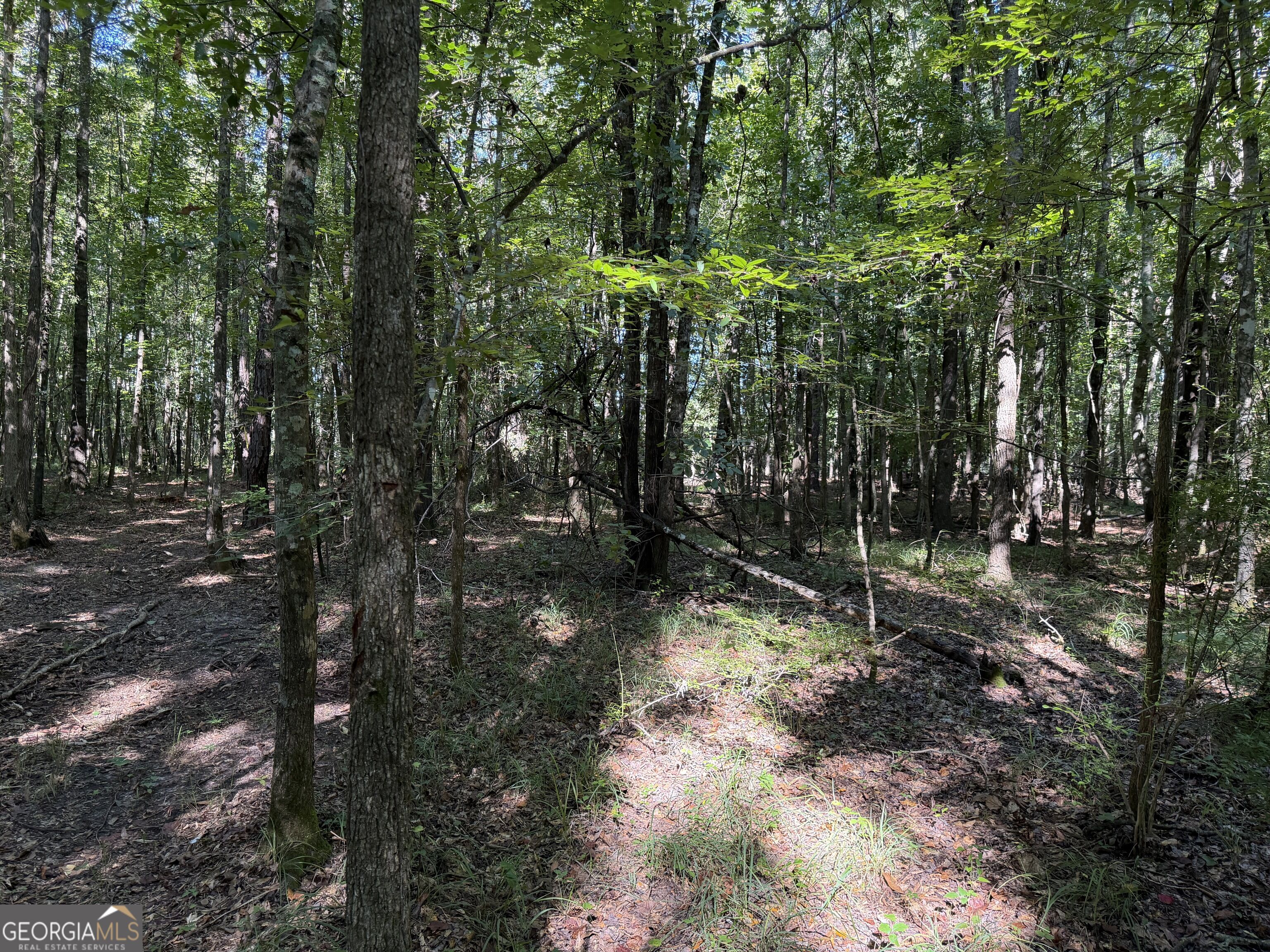 0 Pig Road Property Photo 15