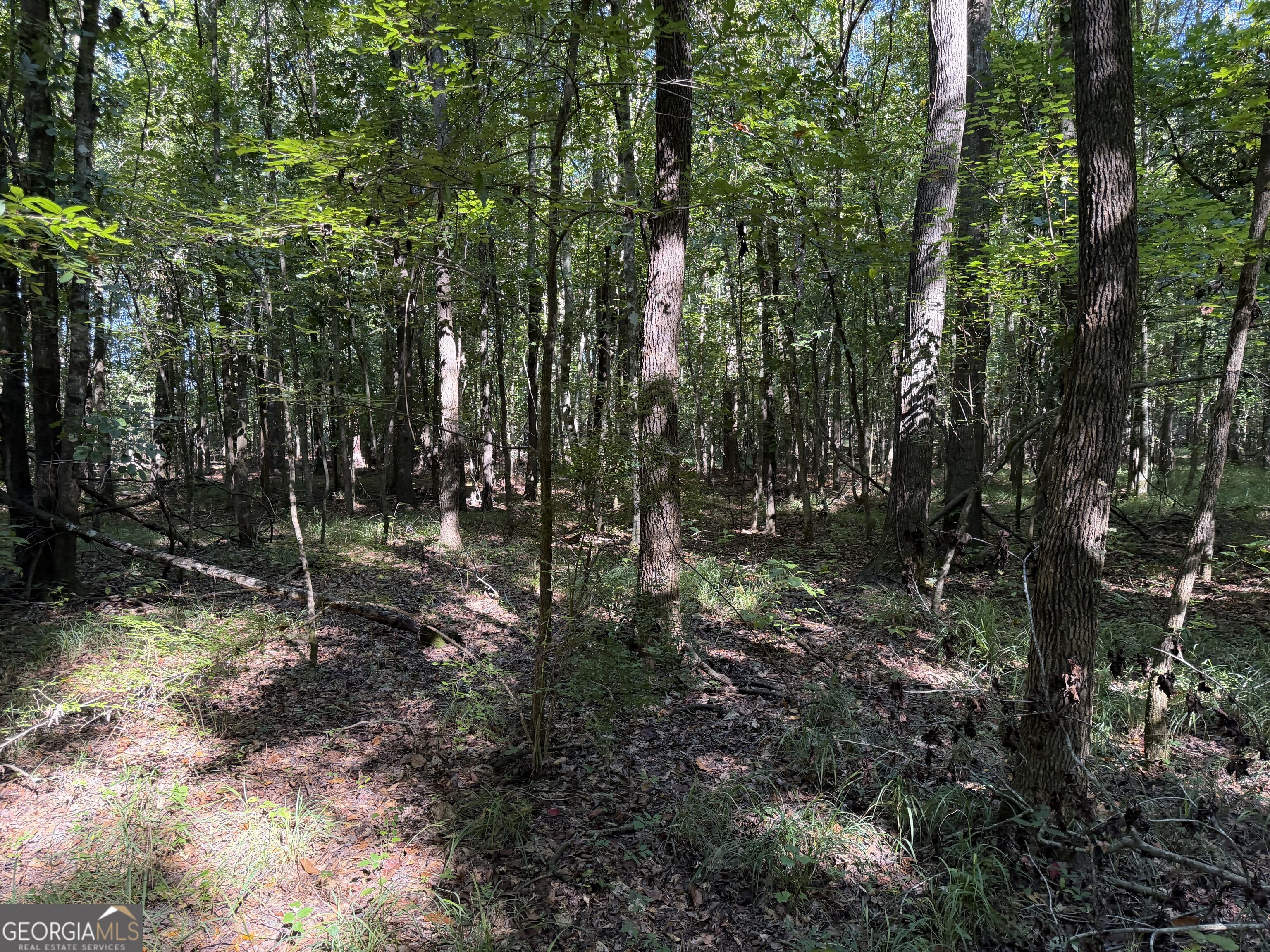 0 Pig Road Property Photo 16