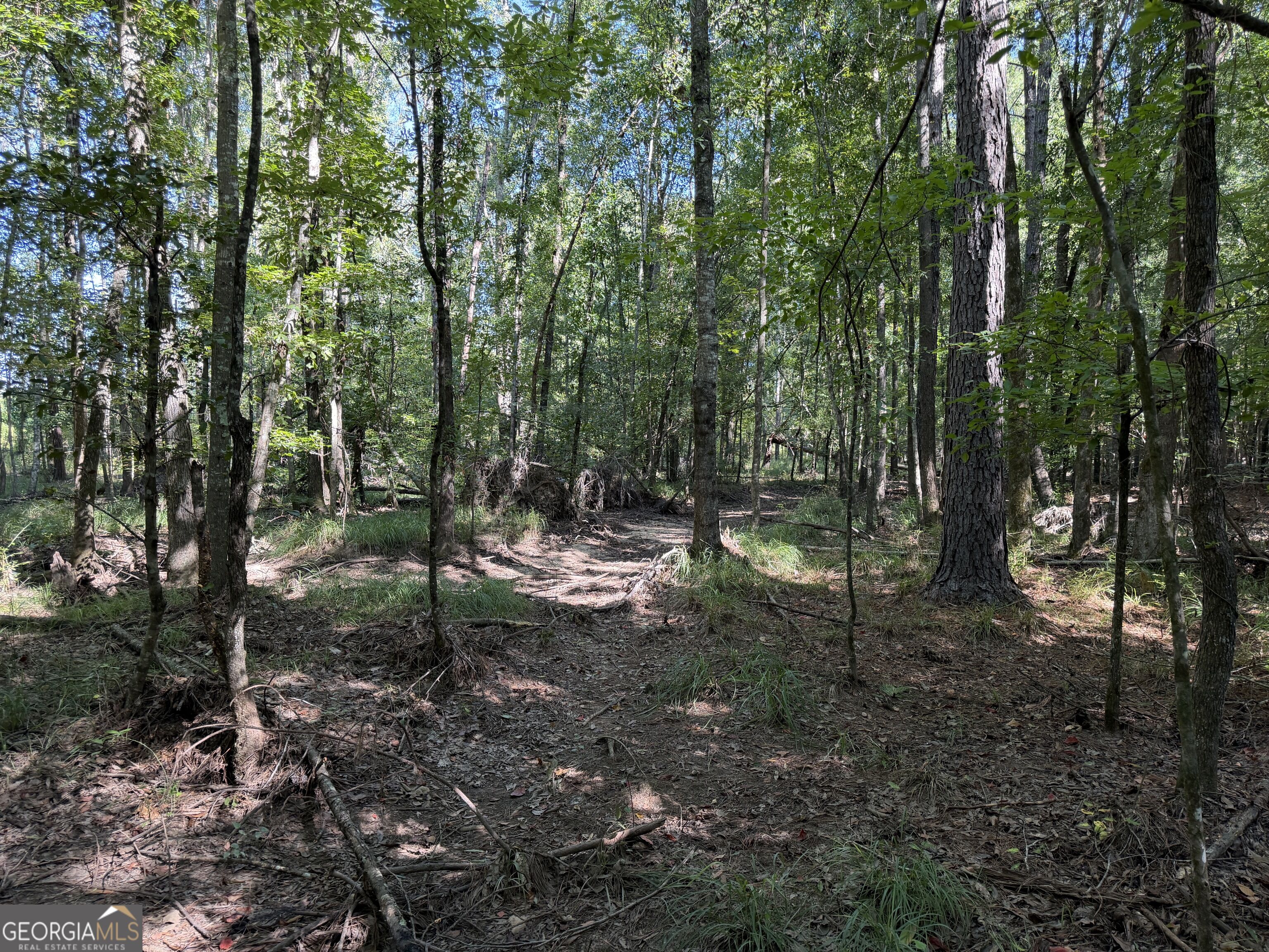 0 Pig Road Property Photo 18