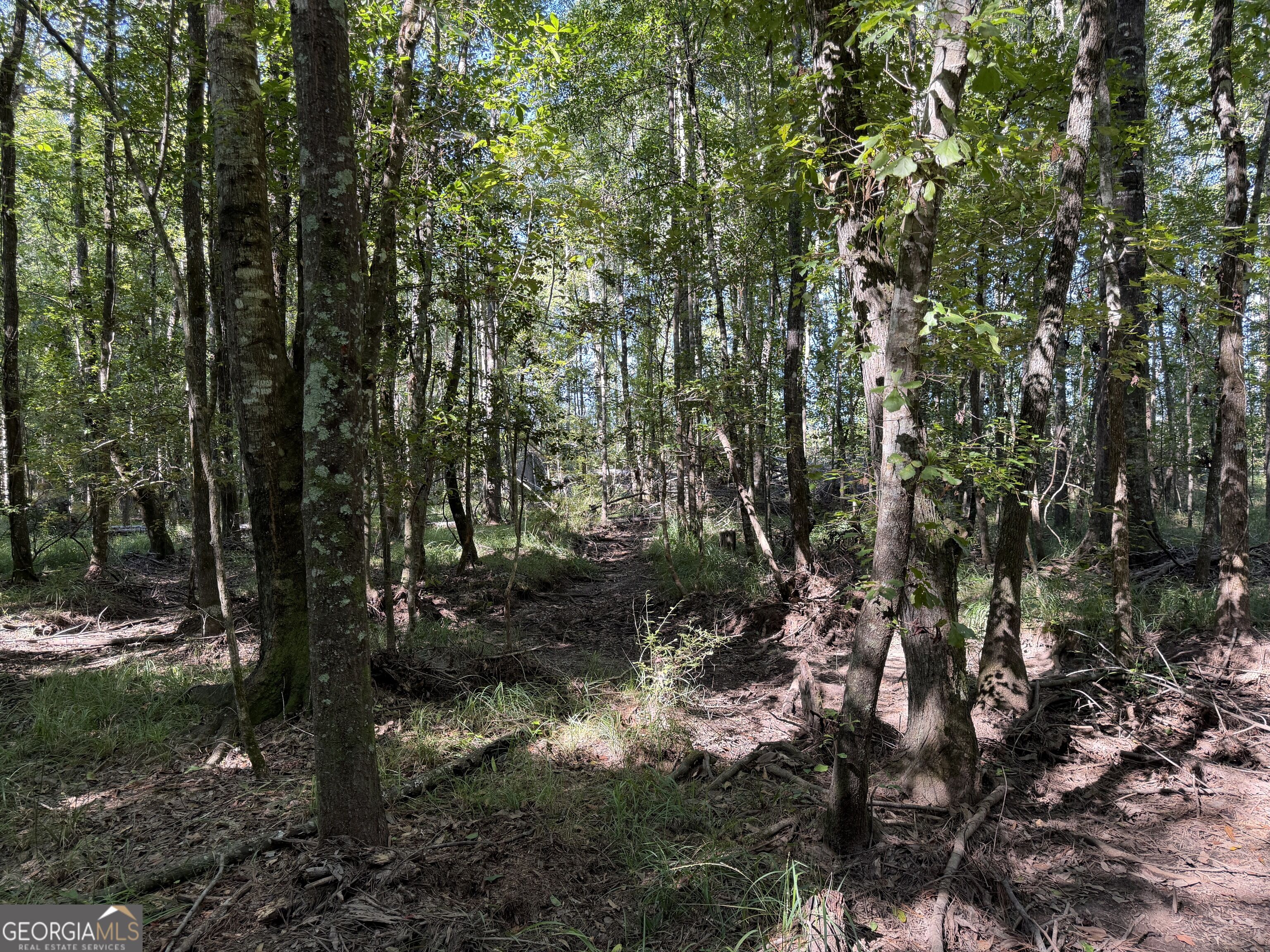 0 Pig Road Property Photo 19