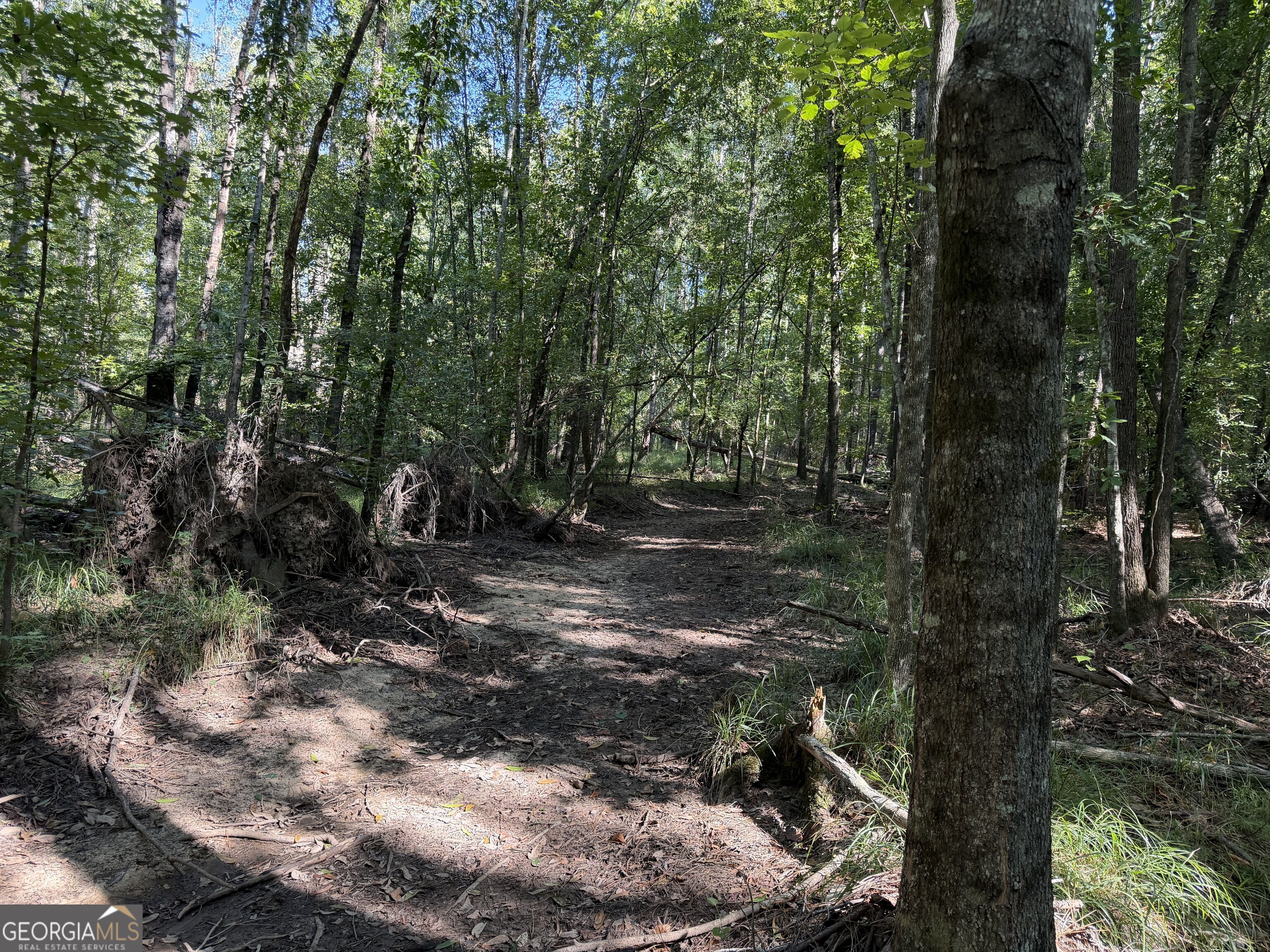 0 Pig Road Property Photo 20