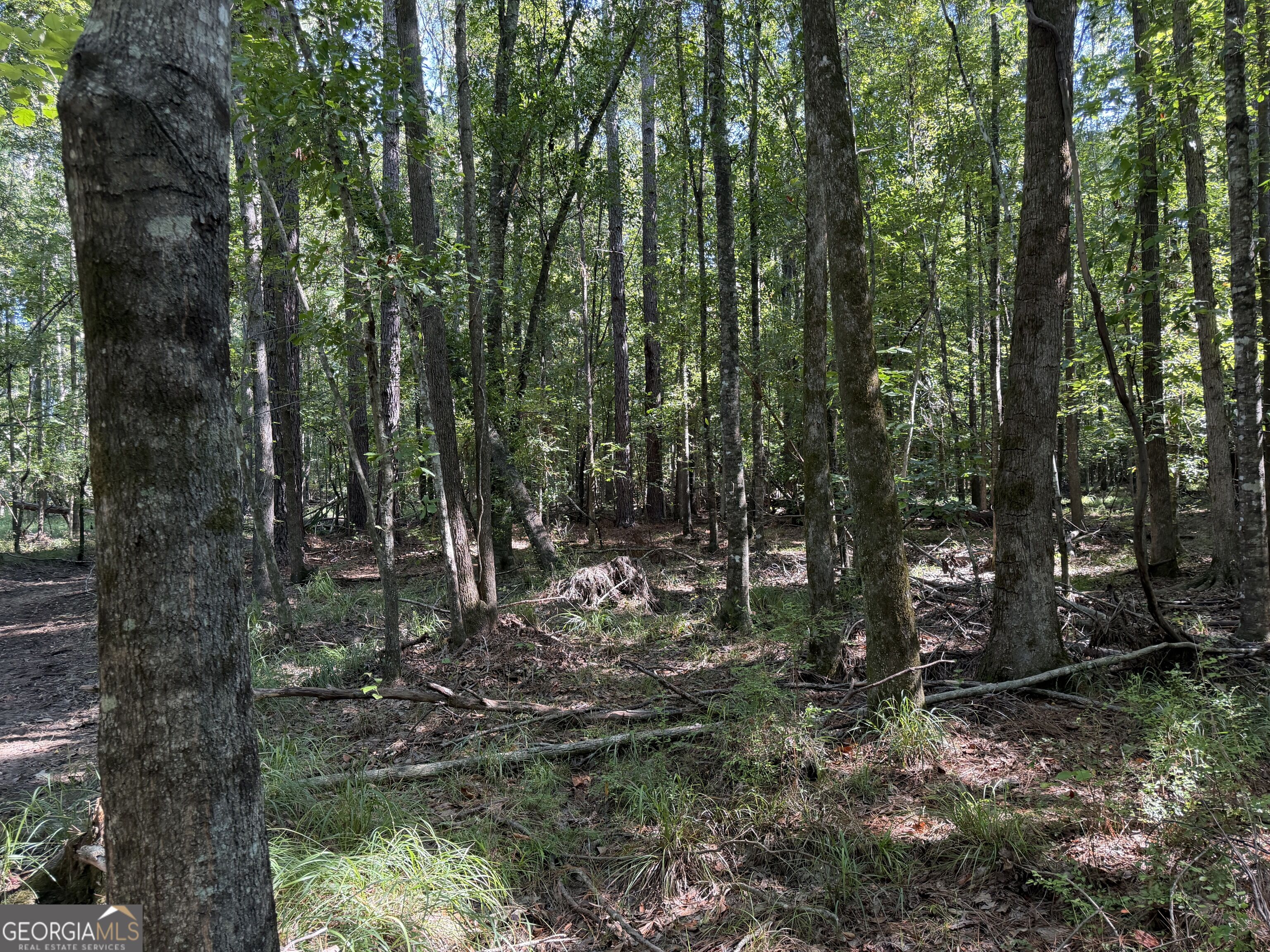 0 Pig Road Property Photo 21