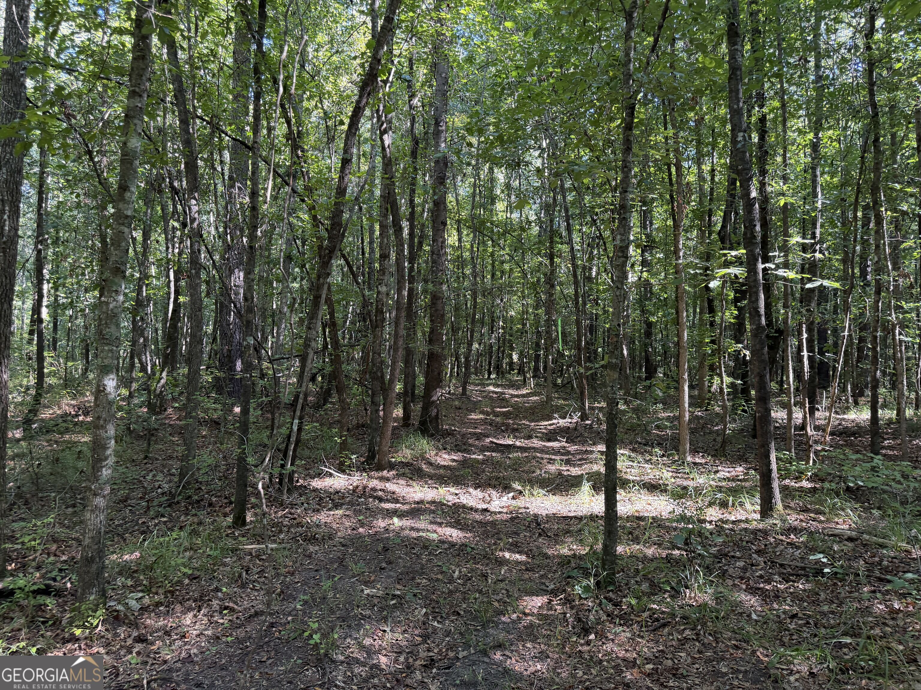 0 Pig Road Property Photo 22
